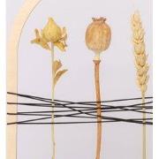 Bloemboog voor droogbloemen