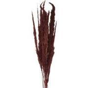 Clayre & Eef Droogbloemen 100 cm Bruin Droogbloemen