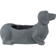 Clayre & Eef Bloempot Binnen Hond 30x12x16 cm Grijs Steen