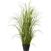 Kopu® Kunstplant Grasplant 120 cm - in zwarte pot - Nepplant
