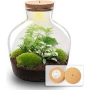 URBANJNGL - Fat Joe Groen - Planten terrarium met licht - DIY kit - Ec...