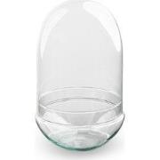URBANJNGL - Terrarium fles 'Egg XL' - Tweedelige stolp - Gesloten terr...