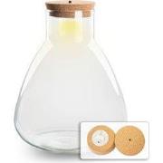 URBANJNGL - Terrarium fles ‘Sam’ - Incl. LED-kurk - Gesloten terrarium...