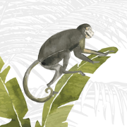 Kinderkamer jungle safari - Kinderbehang - 194,8 cm x 280 cm - Walloha