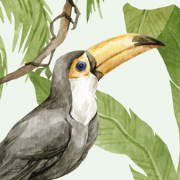 Jungle verhaal - Kinderbehang - 194,8 cm x 280 cm - Walloha