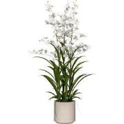 Kopu® Kunstbloem Orchidee Oncidium 98cm in pot - Wit