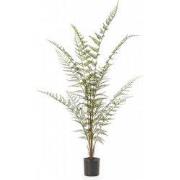 Forest fern x13 120 cm