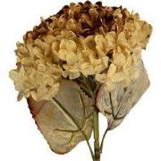 Clayre & Eef Kunstbloem 15x15x47 cm Beige Kunststof