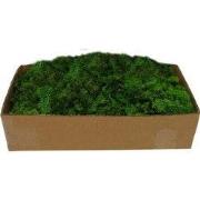 Rendiermos groen 500g