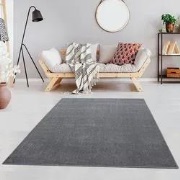 Liam Effen Lichtgrijs vloerkleed - - 120 X 170 CM