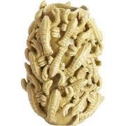 Light & Living - Vaas LOBSTER - 21x20x31 cm - Groen