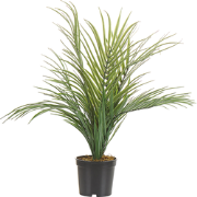 ARECA PALM - Kunstplant - Groen - 45 cm - Synthetisch materiaal