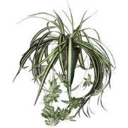 Mica Decorations Chlorophytum Kunstplant in Bloempot Stan - H45 x Ø45 ...