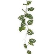 Monstera hanging green - l115xw34xh10cm
