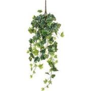 Ivy hanging green variegated - l71xw20xh15cm