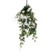 Petunia hanging cream - l80xd20cm