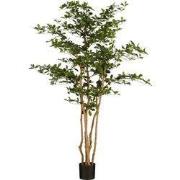 Oriental olive tree green - h183xd130cm