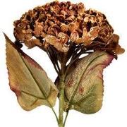 Clayre & Eef Kunstbloem 15x15x47 cm Bruin Kunststof