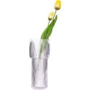 QUVIO Cilinder vaas - Smal - Glas - 24,5 cm - Transparant