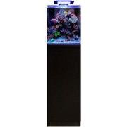 Bm reef 60 aquarium