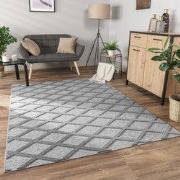 Laagpolig Modern Vloerkleed Utrilia - Grijs - 120x160 cm