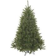 Bristlecone x-mas tree green TIPS 1583 - h260xd163cm