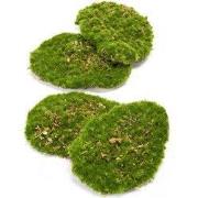 URBANJNGL - Mosplaat – Groen mos – Set van 4 – Kunstmos