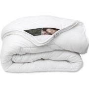 Ten Cate Dekbed - Dekbed 240 x 220 - Dekbedden - 4 Seizoenen Dekbed 24...