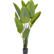 BANANA TREE - Kunstplant - Groen - 187 cm - Synthetisch materiaal