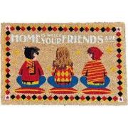 Deurmat PVC/Cocos Harry, Hermelien&Ron 60 cm