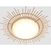 Eigentijdse Plafondlamp Aura Hout