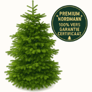 Plant & More - Nordmann Kerstboom 210 - 240 cm - Zonder Kluit