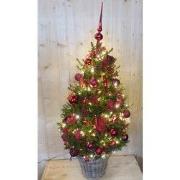 Echte kerstboom in mand met verlichting rood h130