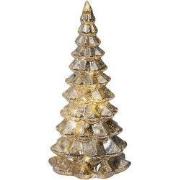 Microled boom d10h21cm15l zlvr/wwit