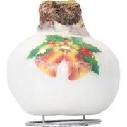 Amaryllis - Hippeastrum 'Porcelain Wax Bells'