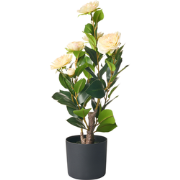 CAMELLIA - Kunstplant - Groen - 60 cm - Kunststof
