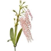 Clayre & Eef Kunstbloem 82 cm Roze Kunststof