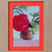 Fotolijst Savannah 19x24cm Hout