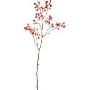 PTMD - Kunsttak Berry - Rood - 48x26x80cm