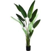 PTMD - Kunstplant Leaves - Groen - 110x63x235cm
