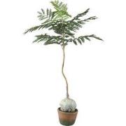 PTMD - Kunstplant Tree - Groen - 43x45x99cm