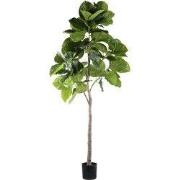 PTMD - Kunstplant Tree - Groen - 118x85x183cm