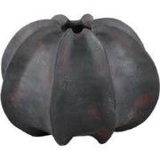 PTMD - Vaas Grayson - Zwart - 30x30x22cm