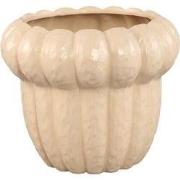 PTMD - Pot Samaran - Beige - 25.5x25.5x21cm