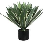 PTMD - Kunstplant Succulent - Groen - 70x70x50cm