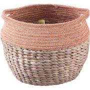 PTMD - Mand Beck - Oranje - 22x30x23.5cm