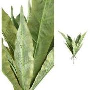 PTMD - Kunstblad Leaves - Groen - 65x65x82cm