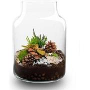 URBANJNGL - Frost Winter terrarium - Planten terrarium met kurk - DIY ...