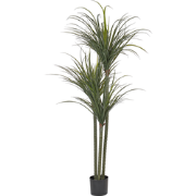DRACAENA ANITA - Kunstplant - Groen - 198 cm - Synthetisch materiaal