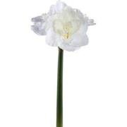 PTMD - Kunstbloem Amaryllis - Wit - 17x38x75cm